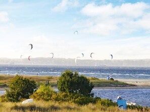 A coastal area with windsurfing activity, a sandy beach, and a line of trees in the foreground. - Holiday Home in Wendtorf (Wendtorf)
