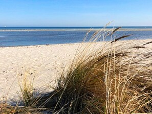House | Beach
