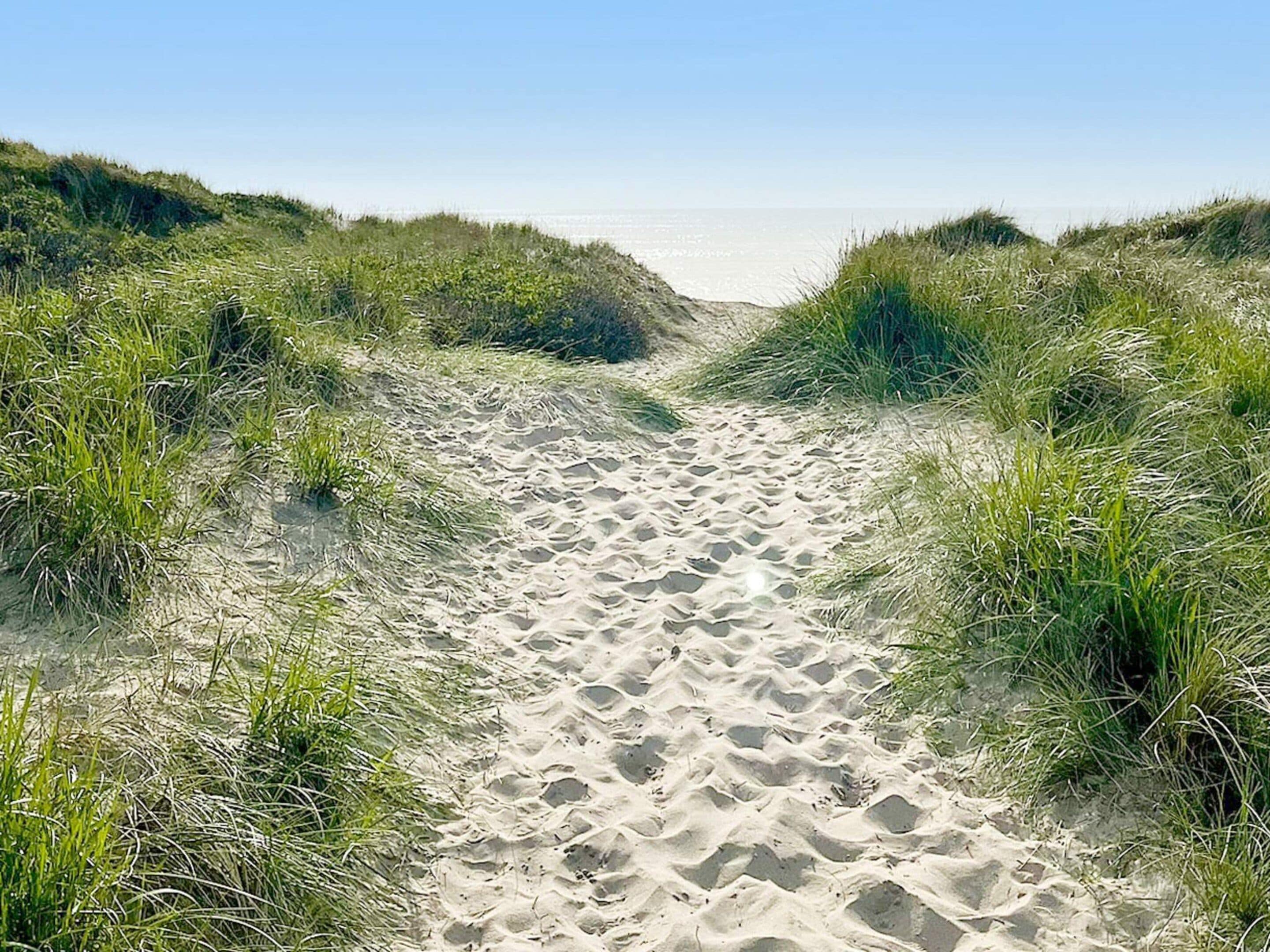 Een zandpad, omzoomd met gras, dat naar een strand leidt.