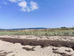 Una playa con arena y algas marinas, cielo despejado y colinas a lo lejos.