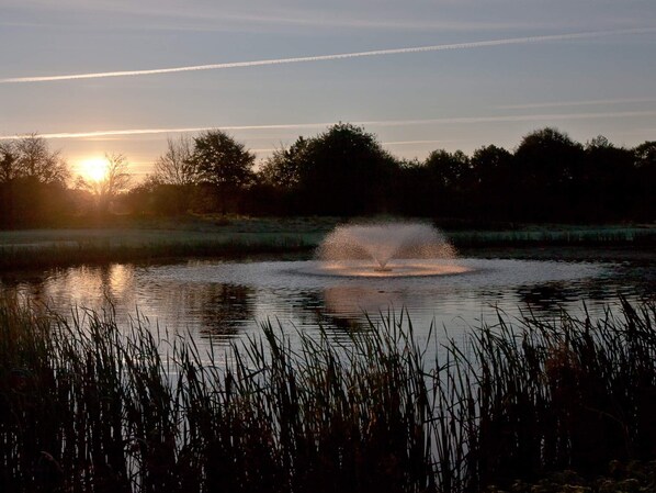A tranquil pond with a fountain, surrounded by tall grasses and trees, with the sun setting in the background.