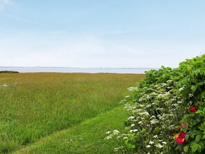 A field with a body of water in the distance, a clear sky, and a hedge with flowers. - 4 Star Holiday Home in Vinderup (Vinderup)
