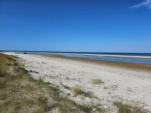 A beach with sand and sparse vegetation. - 6 Person Holiday Home in Jerup (Jerup)