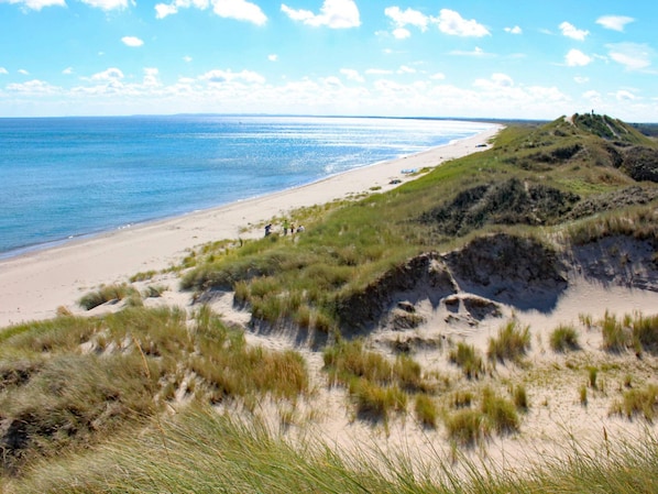 Une plage avec des dunes et une vue dégagée sur l’océan.