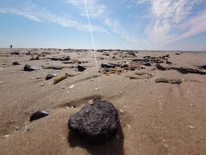 A beach with scattered rocks and seaweed.