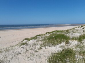 A beach with sand dunes and a clear blue sky.