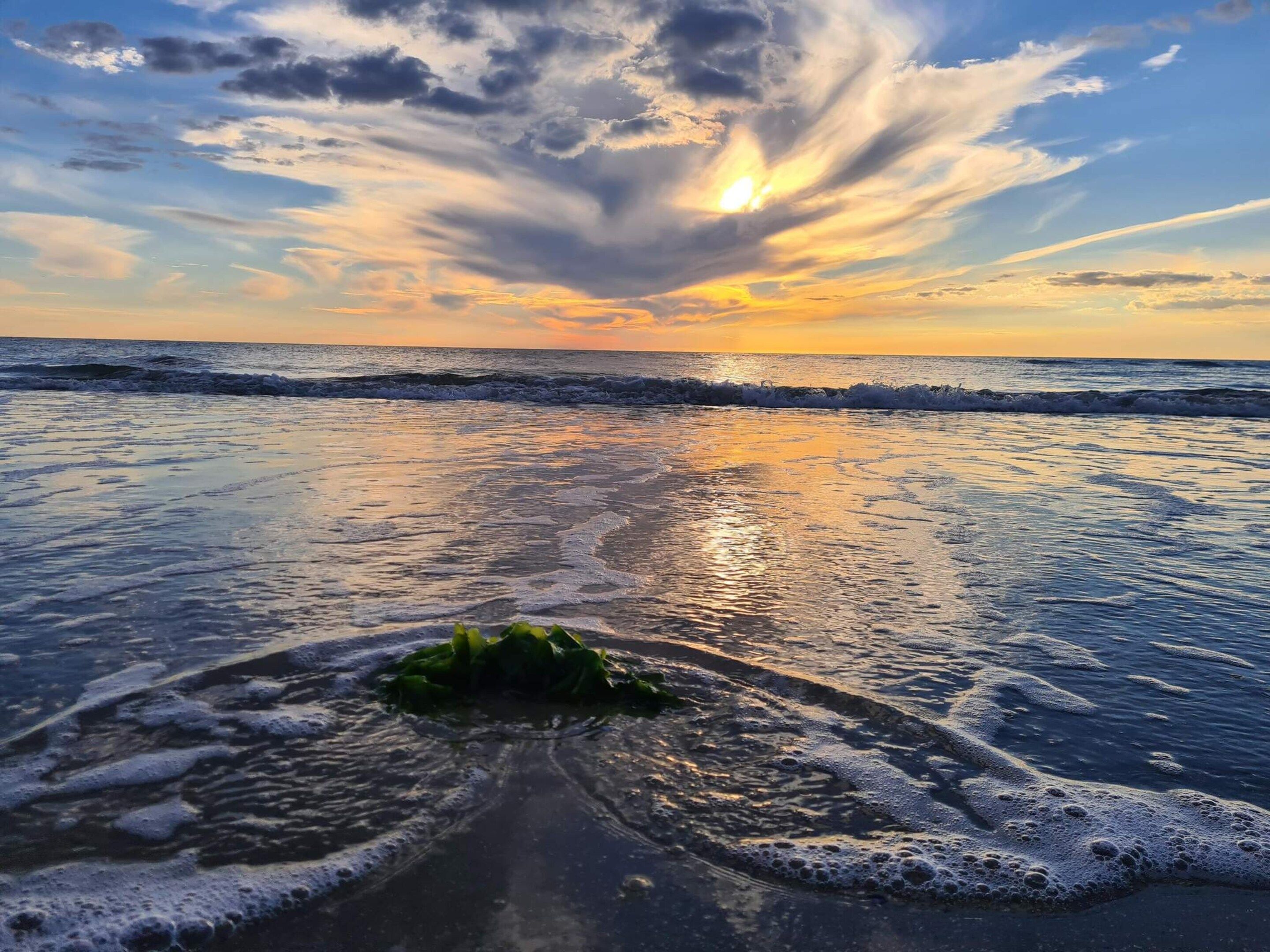 House | Beach