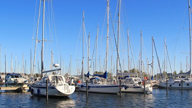 A marina with multiple sailboats docked.