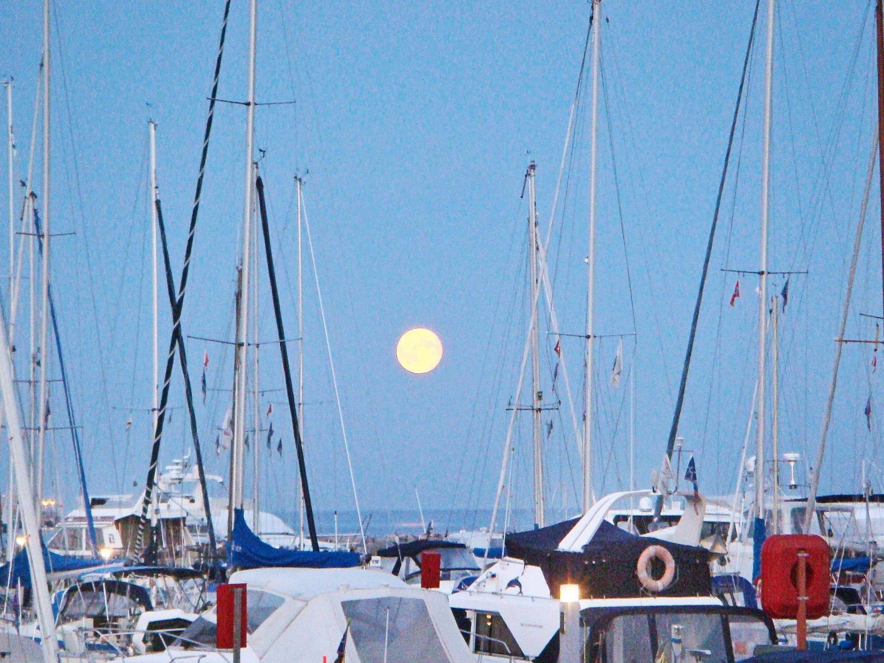 Een jachthaven met verschillende zeilboten afgemeerd, een heldere lucht en een zichtbare maan.