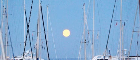 Un port de plaisance où sont amarrés de nombreux voiliers, un ciel dégagé et une lune bien visible.