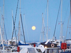Un puerto deportivo con varios veleros amarrados, cielo despejado y una luna visible.