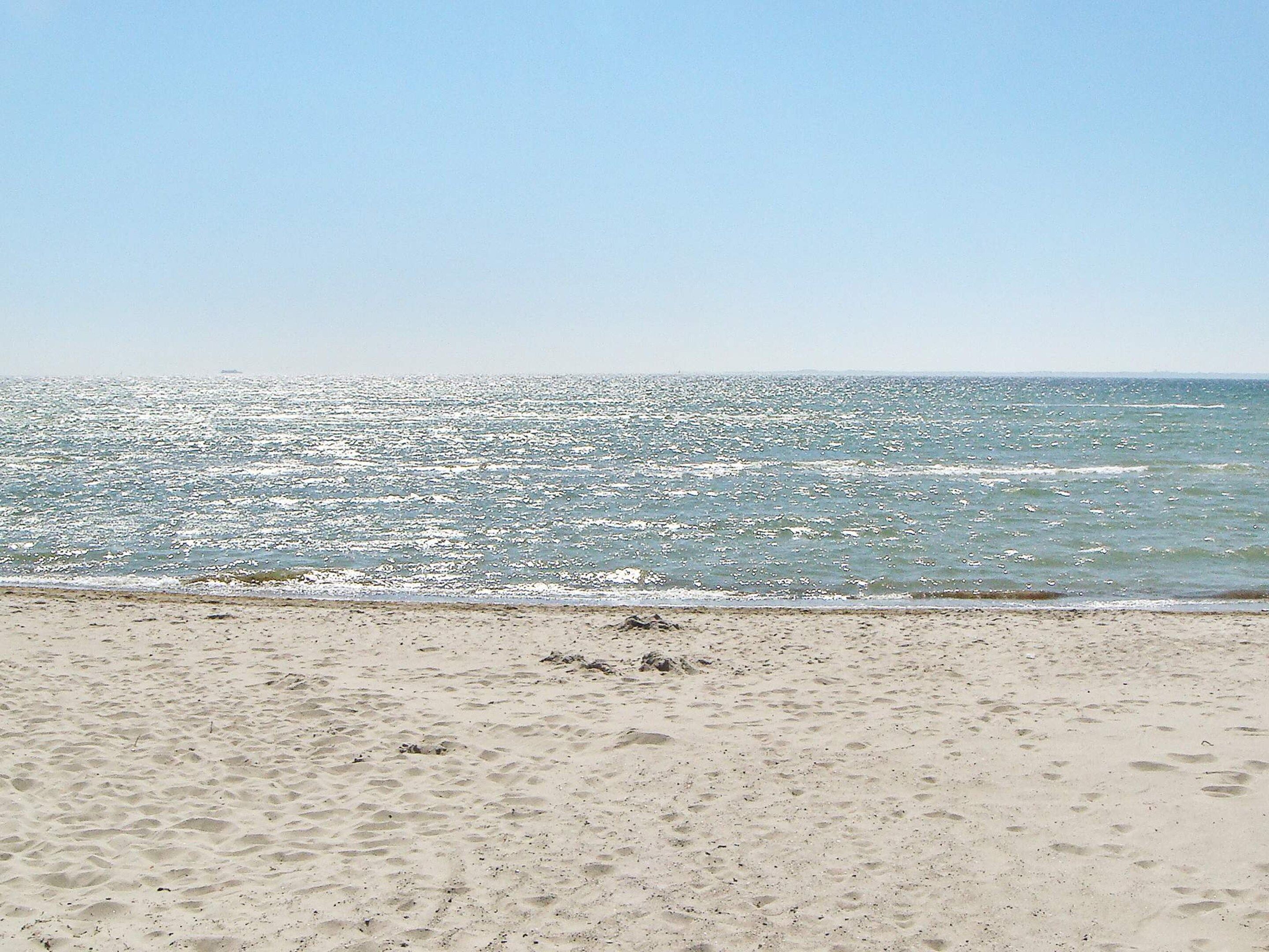 A beach with a sandy shore and a calm sea.