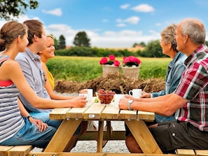 A group of people seated at a wooden picnic table outdoors with a grassy field and trees in the background. - Pet Friendly Holiday Home in Bogense with Hot Tub (Bogense)