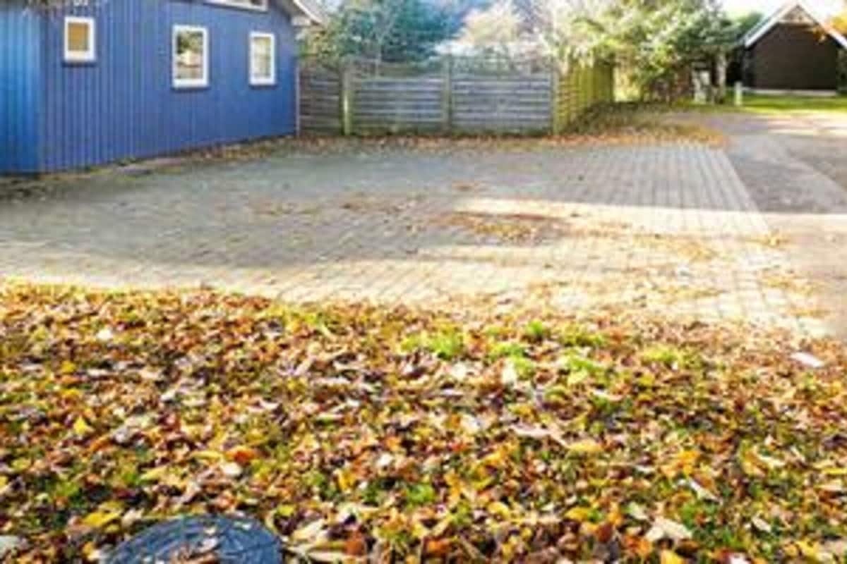 A residential area with a blue house, a paved driveway, and a leaf-covered lawn.