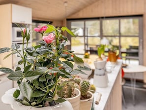 A kitchen with a potted rose plant on the counter, a coffee maker, and various other plants. - Lively Holiday Home in Ålbæk near Sea (Aalbaek)