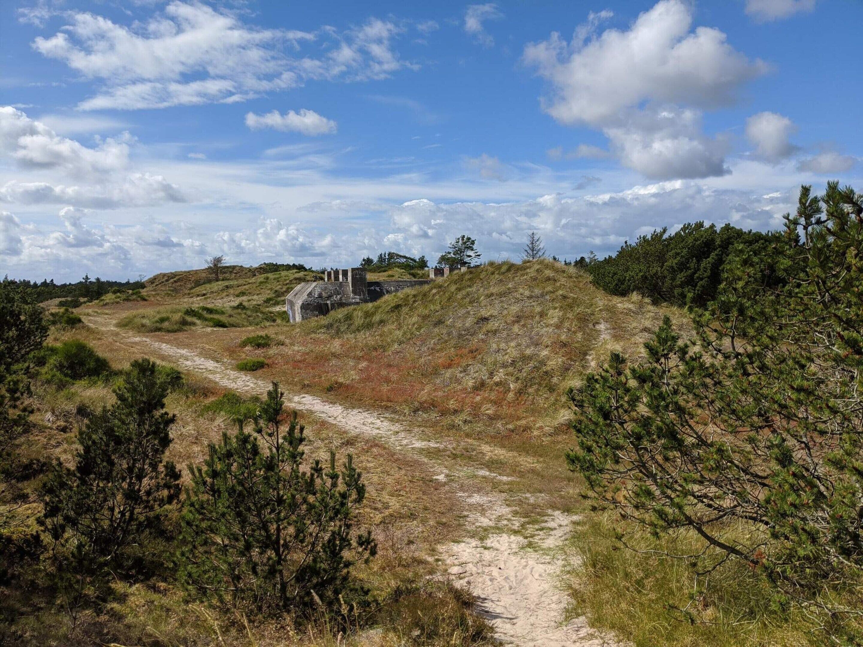 A dirt path leading to a historical site with ruins, surrounded by pine trees and grassy terrain.