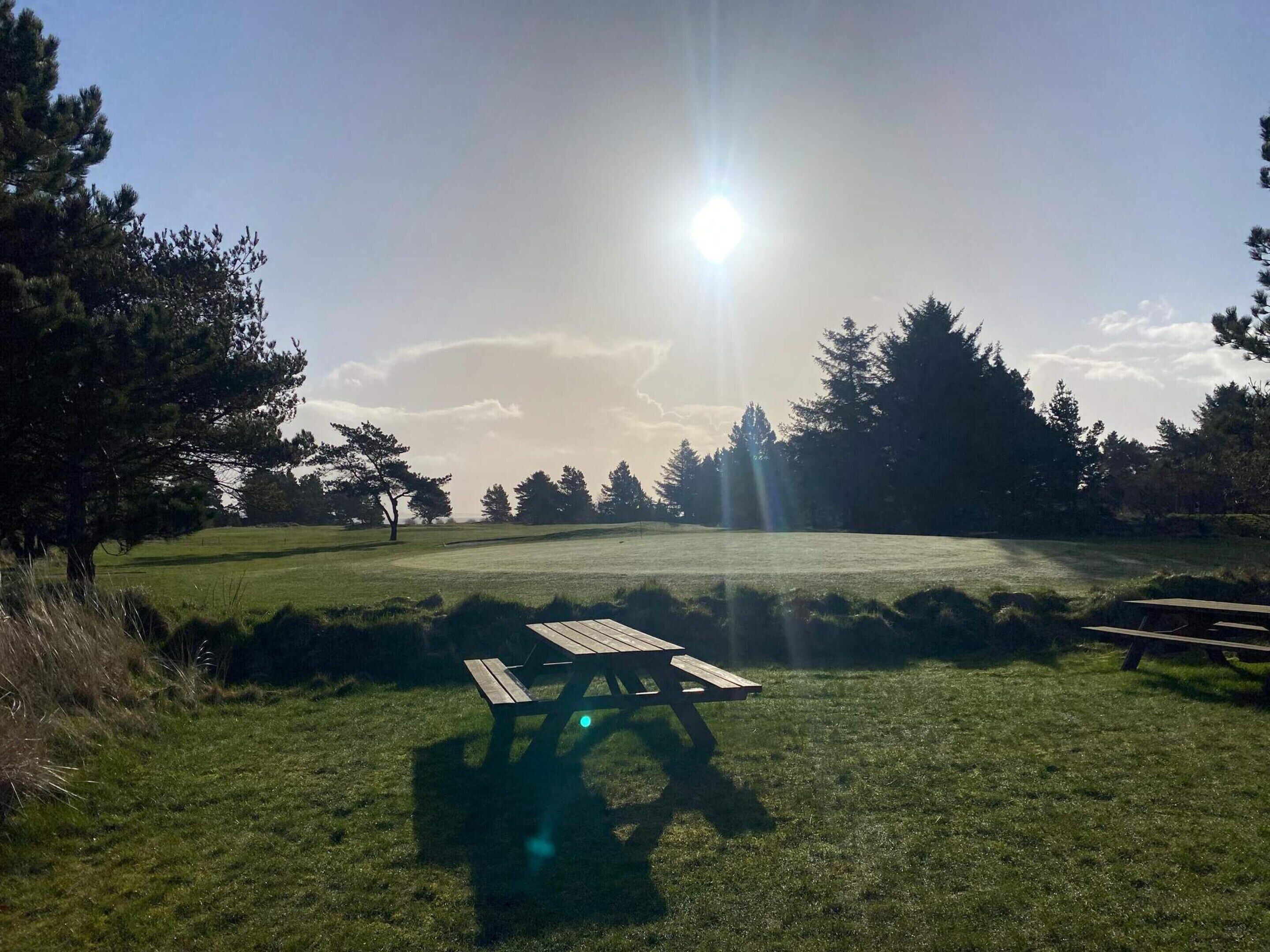 House | Outdoor dining