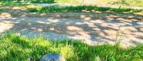 House | Property grounds