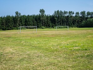 Ein Fußballfeld mit zwei Toren und einem Wald im Hintergrund.