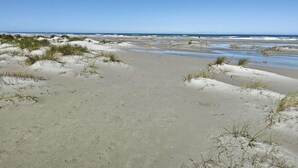 A beach with sand dunes and a clear sky. - 6 Person Holiday Home in Albaek (Aalbaek)