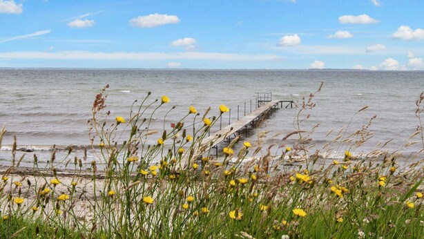 Eine Küstenansicht mit einem hölzernen Steg, der sich ins Meer erstreckt, umgeben von gelben Blumen und Gräsern.