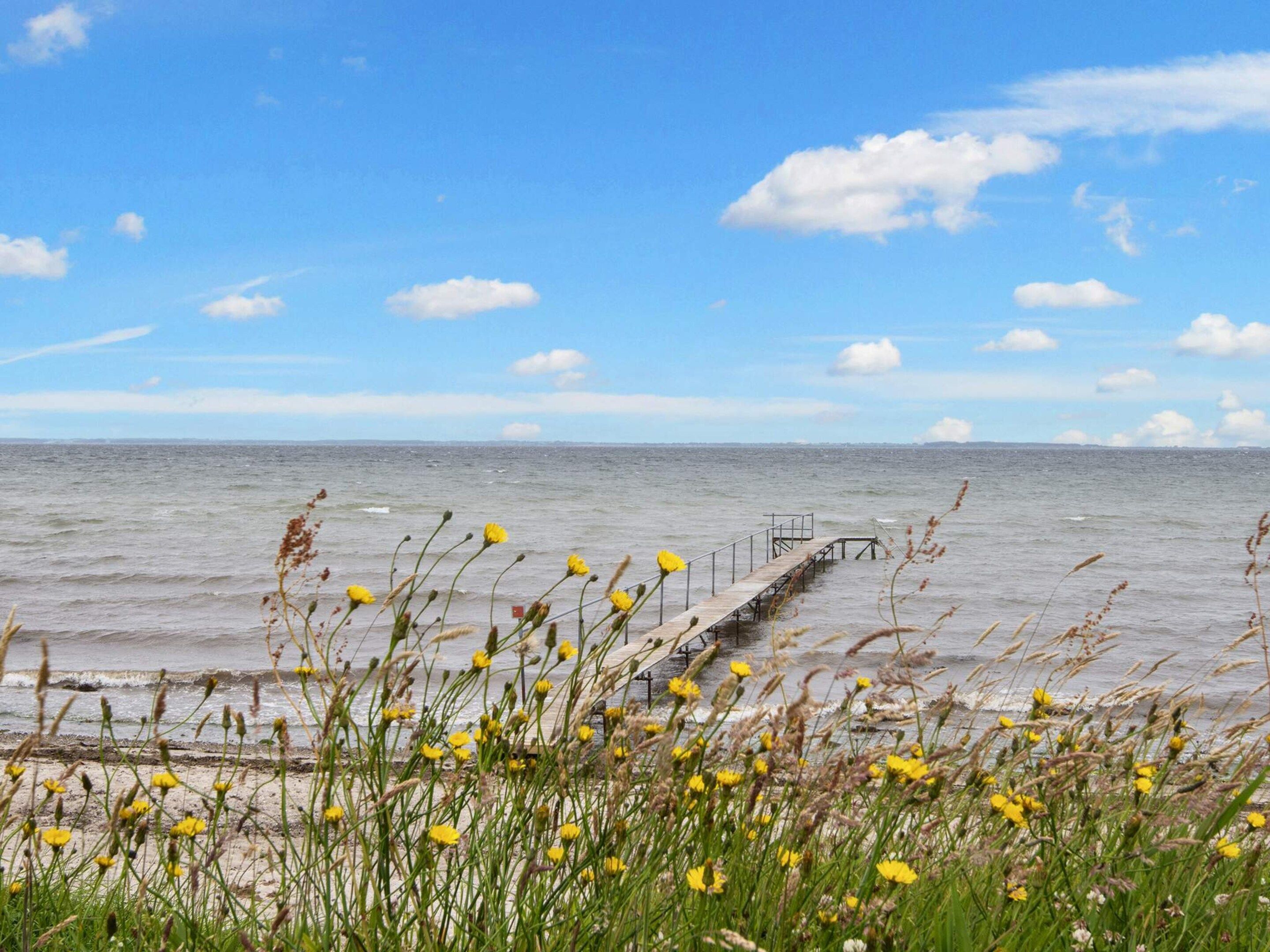 Paesaggio costiero con un molo in legno che si protende verso il mare, circondato da fiori e erbe gialle.