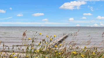 A coastal scene with a wooden pier extending into the sea, surrounded by yellow flowers and grasses.