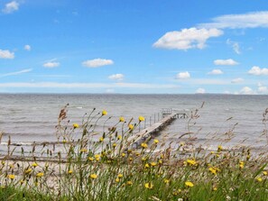 A coastal scene with a wooden pier extending into the sea, surrounded by yellow flowers and grasses.
