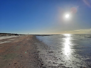 A beach with a clear sky, a road, and a signpost. - 4 Star Holiday Home in Fano (Fano)