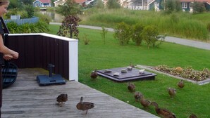A wooden deck with ducks and a person. - Holiday Home in Otterndorf (Otterndorf)