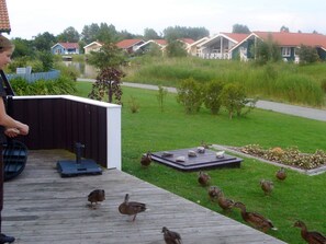 A wooden deck with ducks and a person. - Holiday Home in Otterndorf (Otterndorf)