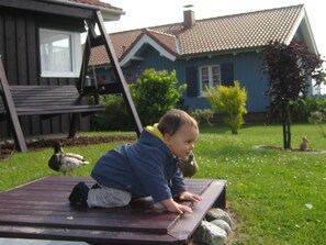 Un enfant sur une terrasse en bois, avec une maison et des canards en arrière-plan.