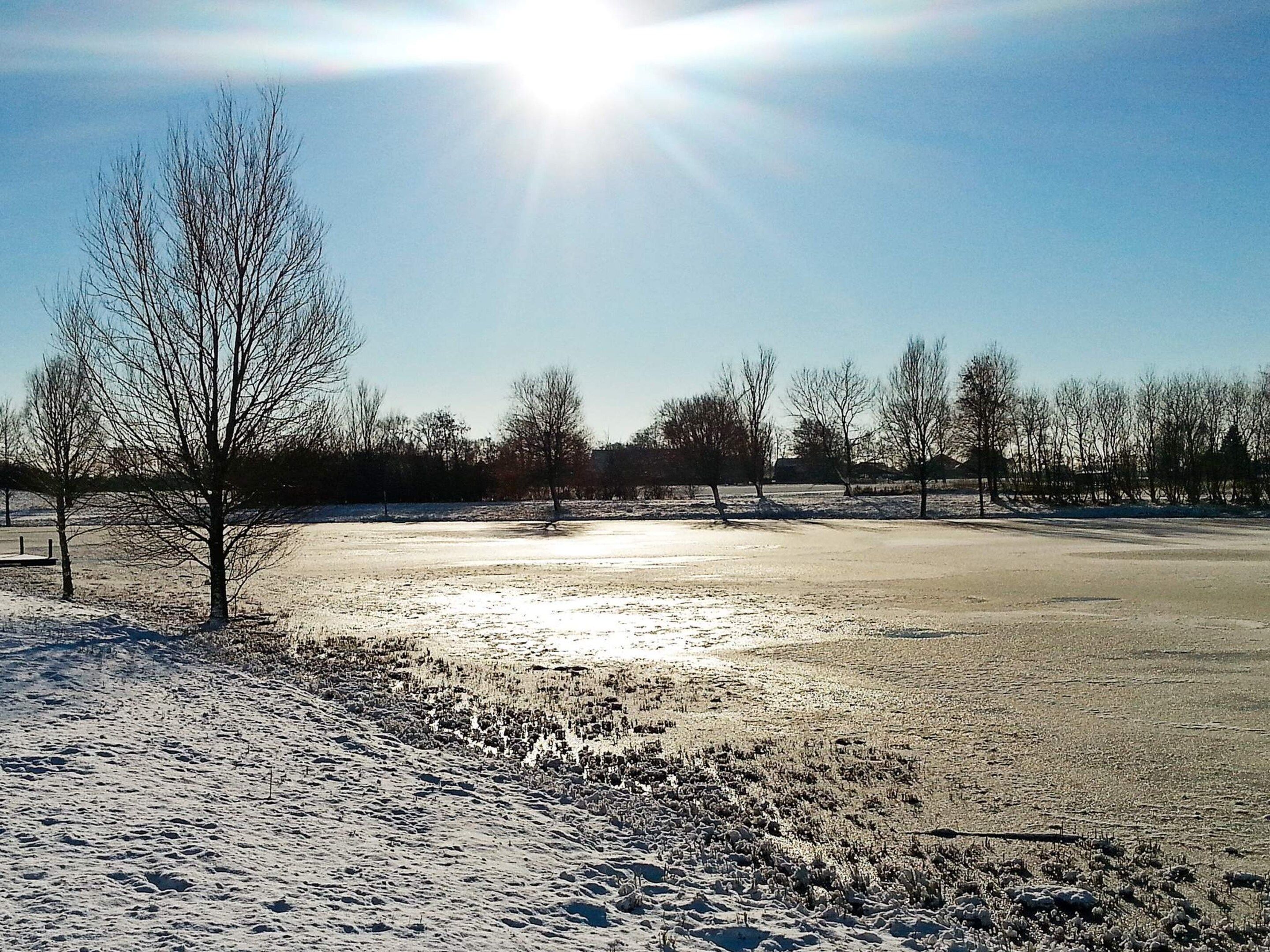 A snow-covered field with a few leafless trees and a clear sky.