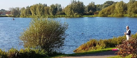 A calm lake with a walking path alongside, surrounded by greenery and trees.