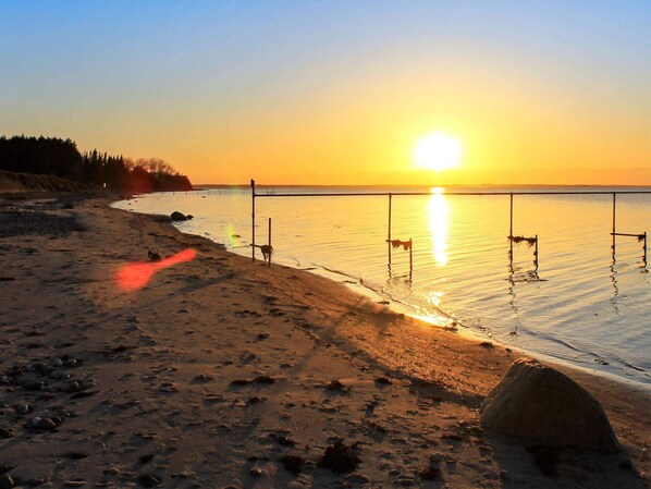 House | Beach - Luxury Pool House by Sea - By Traum Ferienwohnungen (Nordborg)