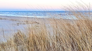 A beach with dry grass in the foreground and the ocean in the background. - 4 Star Holiday Home in Albaek (Aalbaek)