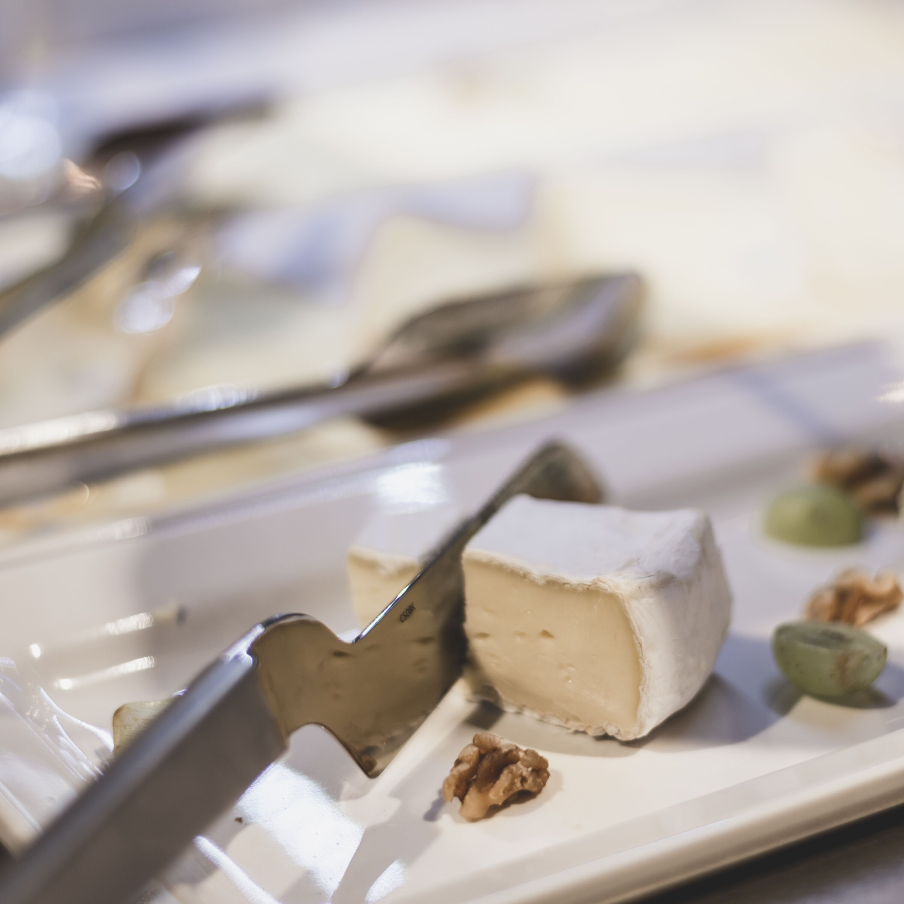 A close-up of a white plate with a piece of cheese and walnuts.