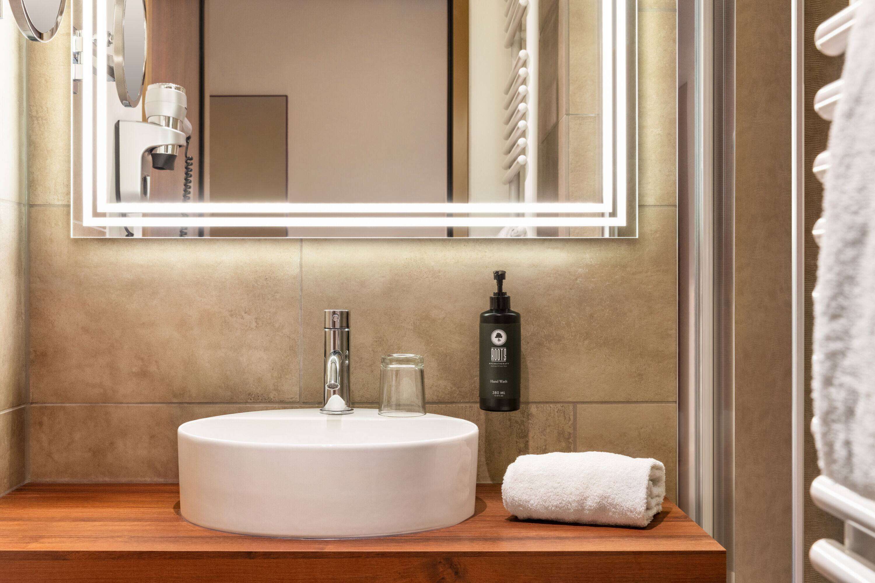 shower, rainfall showerhead, free toiletries, hair dryer