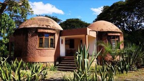 Un edificio de forma abovedada con una escalera que conduce a una entrada cubierta, rodeado de vegetación tropical.