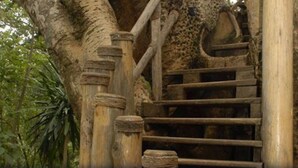 Una escalera de madera con diseño rústico que conduce a una construcción de piedra.