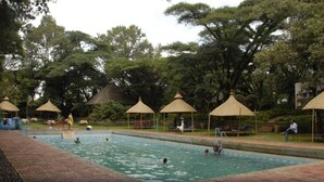 Una piscina con gente nadando y descansando bajo sombrillas de paja, rodeada de exuberante vegetación.