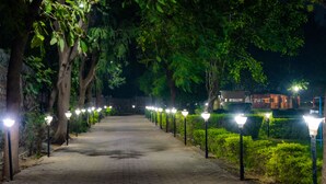 Un camino pavimentado bordeado de luminarias a intervalos regulares, flanqueado por un follaje verde exuberante y árboles.