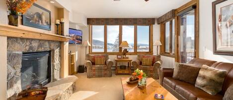 TV, fireplace, DVD player