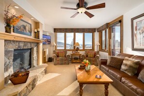 TV, fireplace, DVD player