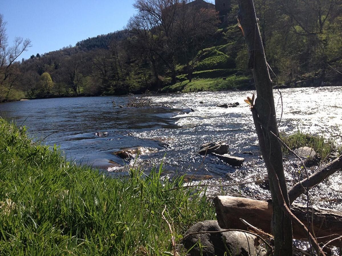 Une rivière avec des rochers et de l’herbe au premier plan, une colline boisée à l’arrière-plan et un ciel dégagé.