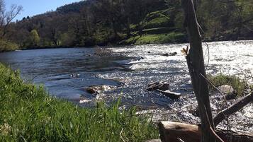 Une rivière avec des rochers et de l’herbe au premier plan, une colline boisée à l’arrière-plan et un ciel dégagé.