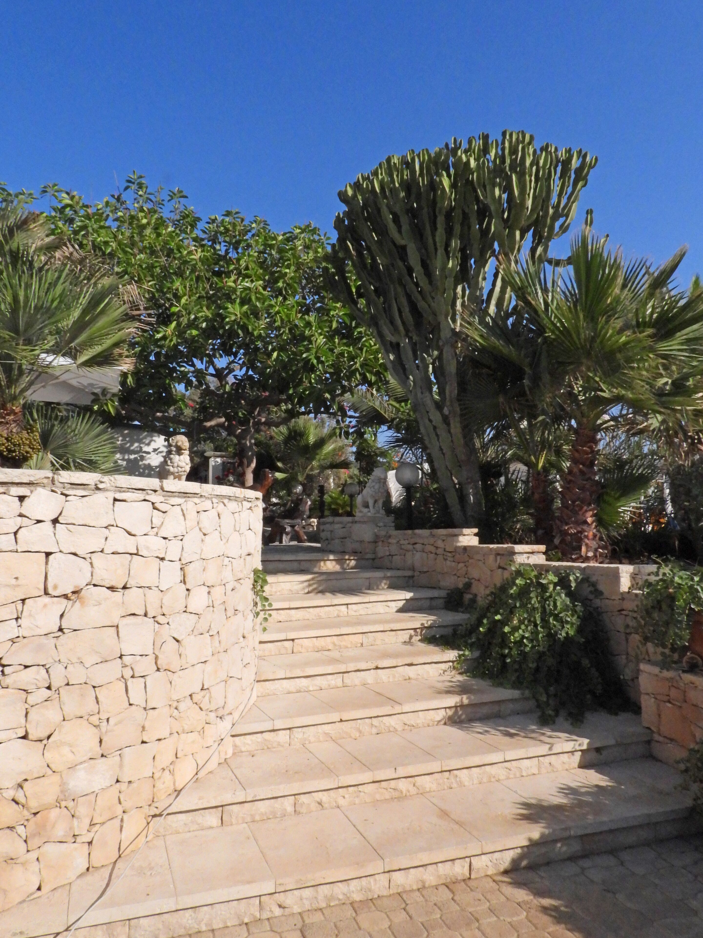 Terrein van de accommodatie