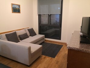 Tv, dvd-spelare och en stereo