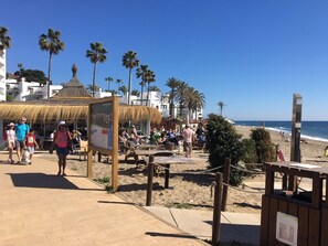 A beachside area with a thatched-roof structure, palm trees, and a sandy beach.