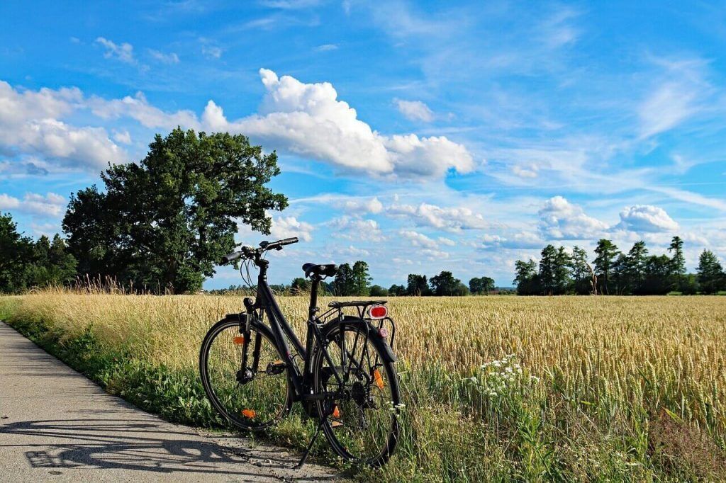 A bicycle parked on a path beside a field of tall grass.